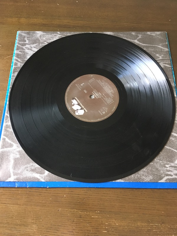 盤の状態の悪いレコードの画像