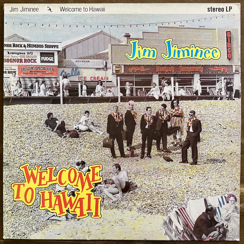 JIM JIMNEE - TOWN AND COUNTRY BLUESのジャケット画像