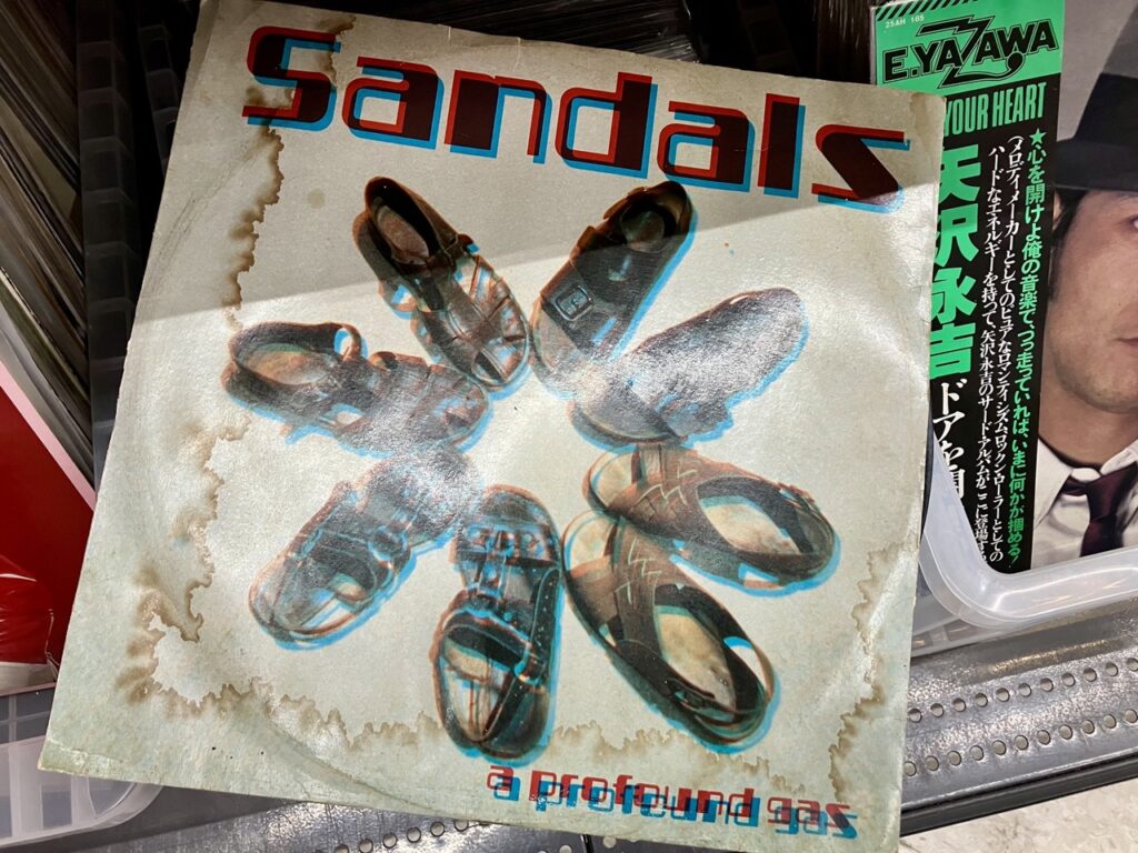ハードオフ・オフハウス掛川店のレコード